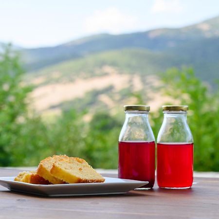 Kalavrita Botanica Hotel & Spa Zewnętrze zdjęcie
