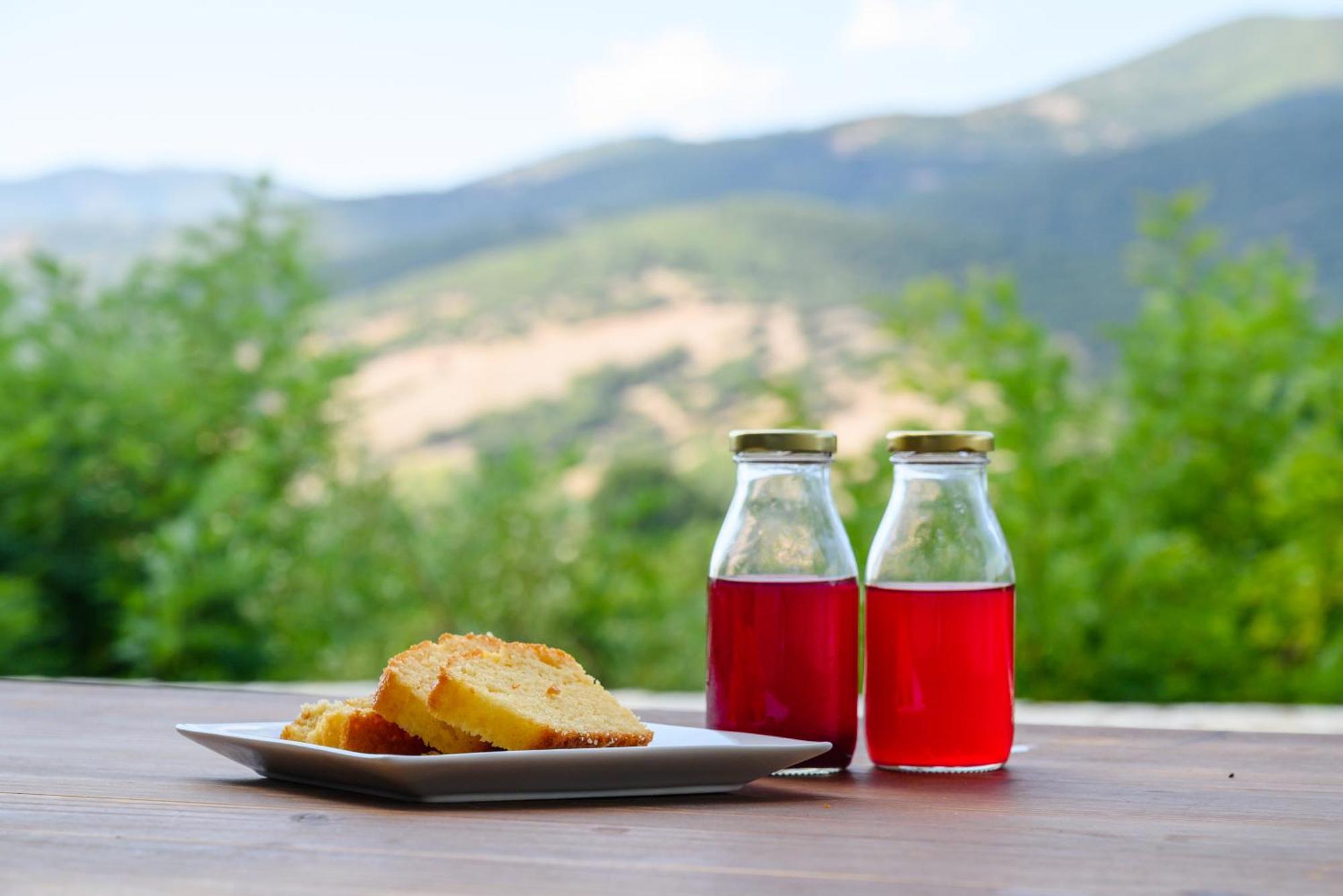 Kalavrita Botanica Hotel & Spa Zewnętrze zdjęcie